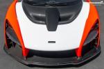 McLaren Senna 2019 года